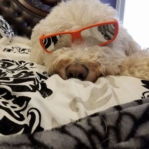 Meet your Posher, Christina